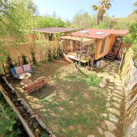 Σπίτι διακοπών Tiny House Ceviz Kayakoey Jungle Φετιγιέ