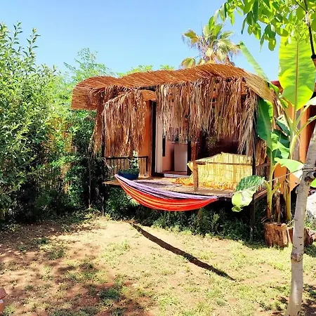 Tiny House Ceviz Kayakoey Jungle Σπίτι διακοπών Φετιγιέ