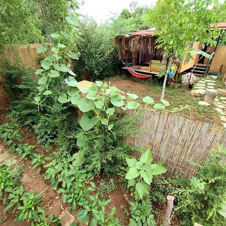 Ferienhaus Tiny House Ceviz Kayakoey Jungle Fethiye