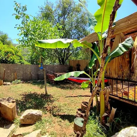 Tiny House Ceviz Kayakoey Jungle Ferienhaus