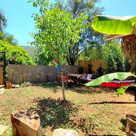 Tiny House Ceviz Kayakoey Jungle Ferienhaus Fethiye
